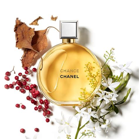 similar to chanel chance|scents similar to chanel chance.